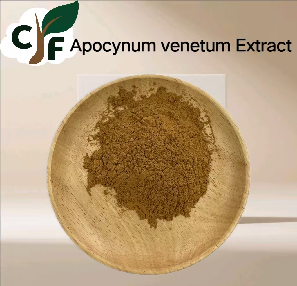 Apocynum venetum Extract 1 Apocynum Venetum Extract - Image 1