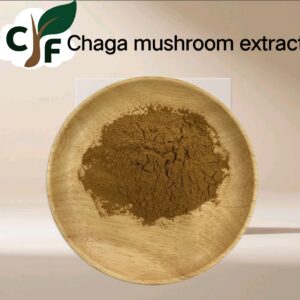 Chaga Mushroom Extract