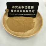 Pumpkin Seed Extract - 画像2