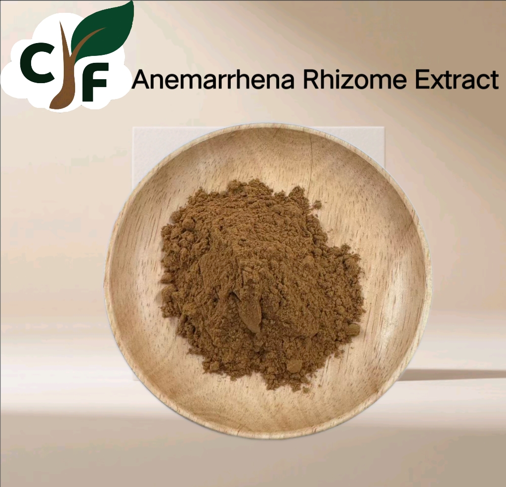 Anemarrhena Rhizome Extract 1 Anemarrhena Rhizome Extract - Image 1
