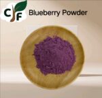 Blueberry Powder
