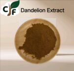 Dandelion Extract