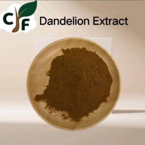 Dandelion Extract