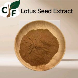 Lotus Seed Extract