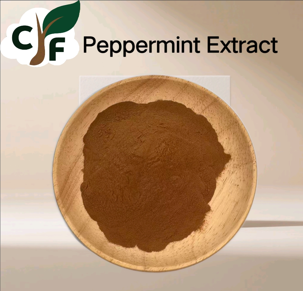 Peppermint Extract 1 Peppermint Extract - Image 1