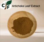 Artichoke Extract
