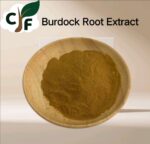 Burdock Root Extract