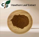 Hawthorn Leaf Extract