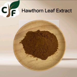 Hawthorn Leaf Extract