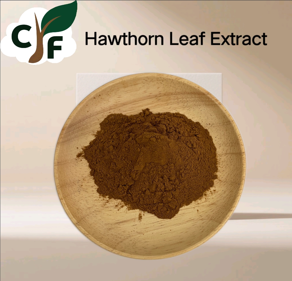 Hawthorn Leaf Extract 1 Hawthorn Leaf Extract - Image 1