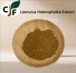 Leonurus Heterophyllus Extract