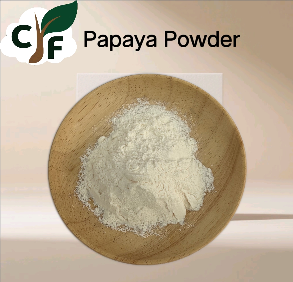 Papaya Powder 1 Papaya Powder - Image 1